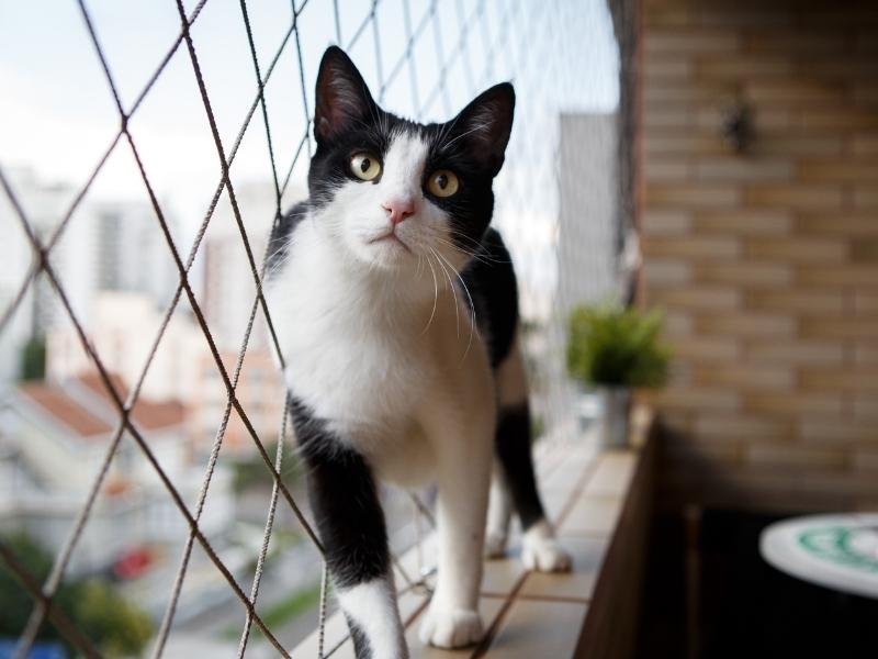 Instalação de rede de segurança em Florianópolis